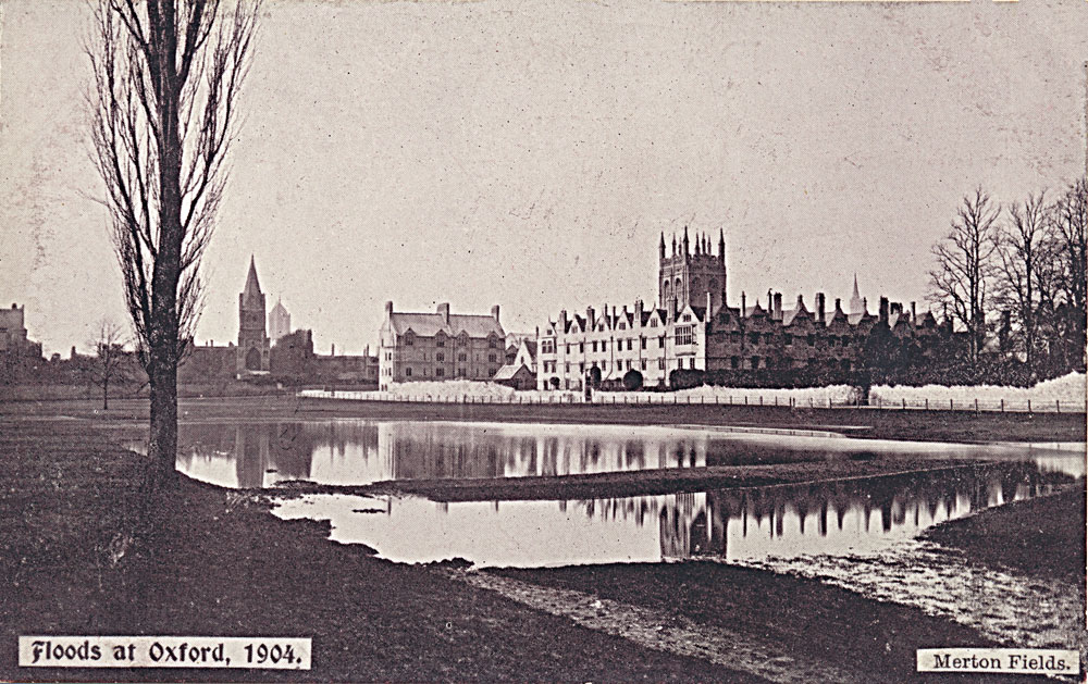 Merton Field