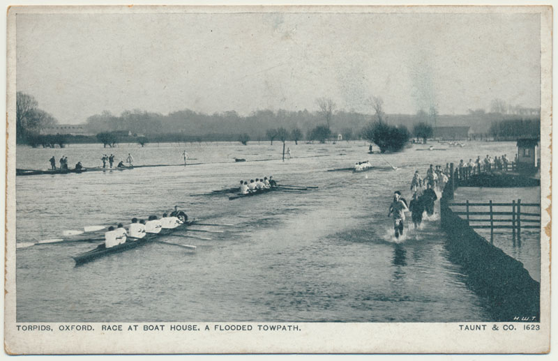 Torpids by Taunt
