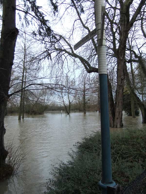 Footpath by Parson's Pleasure